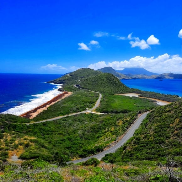 Meet your Posher, Samantha - Picture 1 of 1